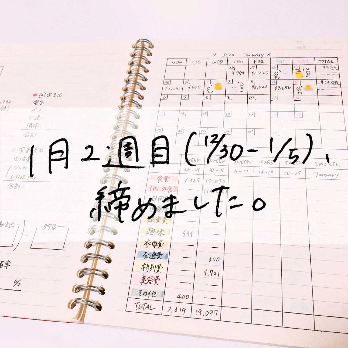 家計簿公開 24歳一人暮らし 年1月2週目 Mii 楽しい節約貯金生活