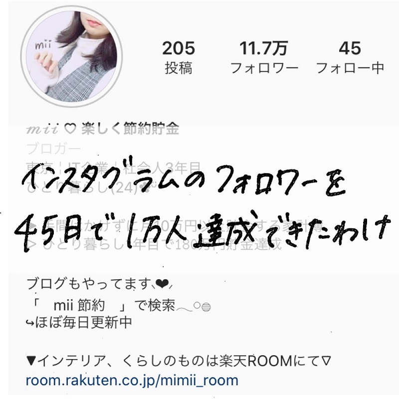 Instagramフォロワーの増やし方 ただの一般人がたった45日でフォロワーが1万人になったわけ Mii 楽しい節約貯金生活