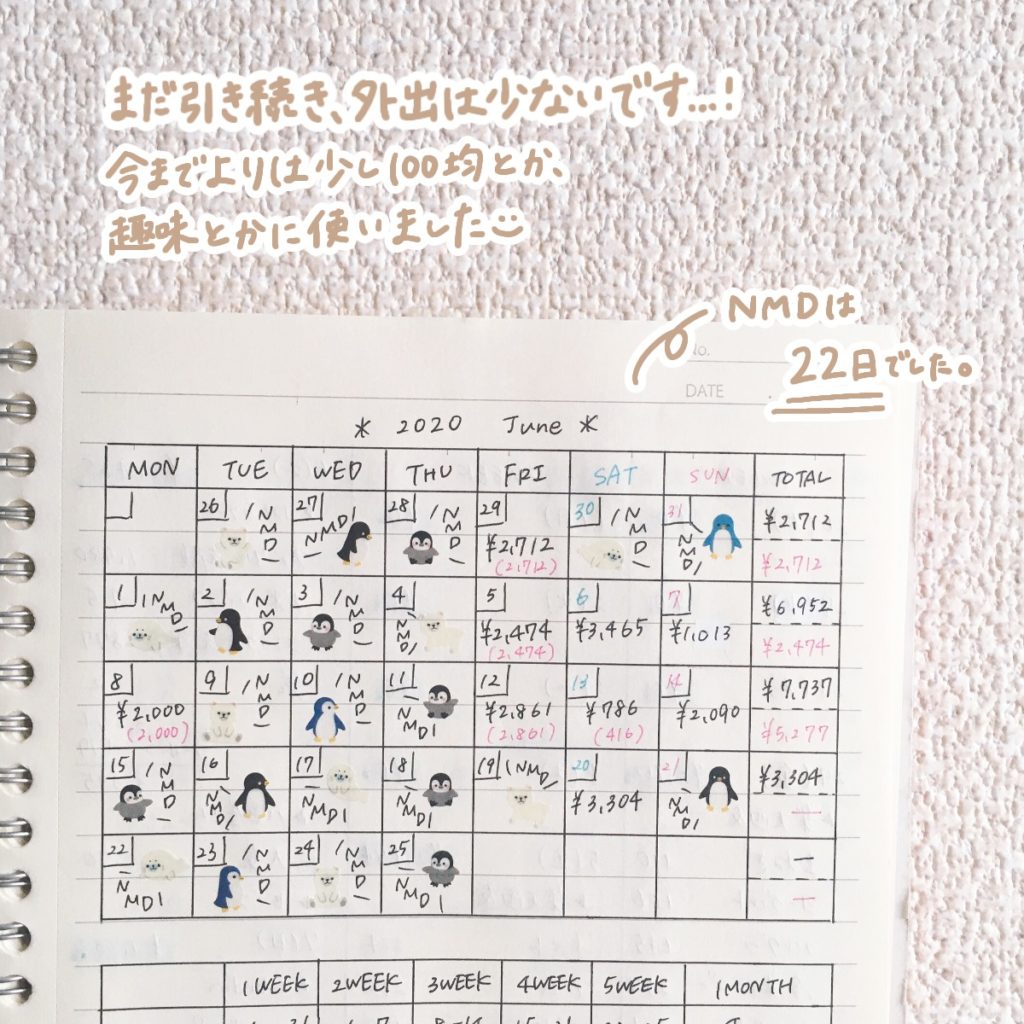 年6月家計簿 貯蓄率51 貯金額116 878円でした Mii 楽しい節約貯金生活